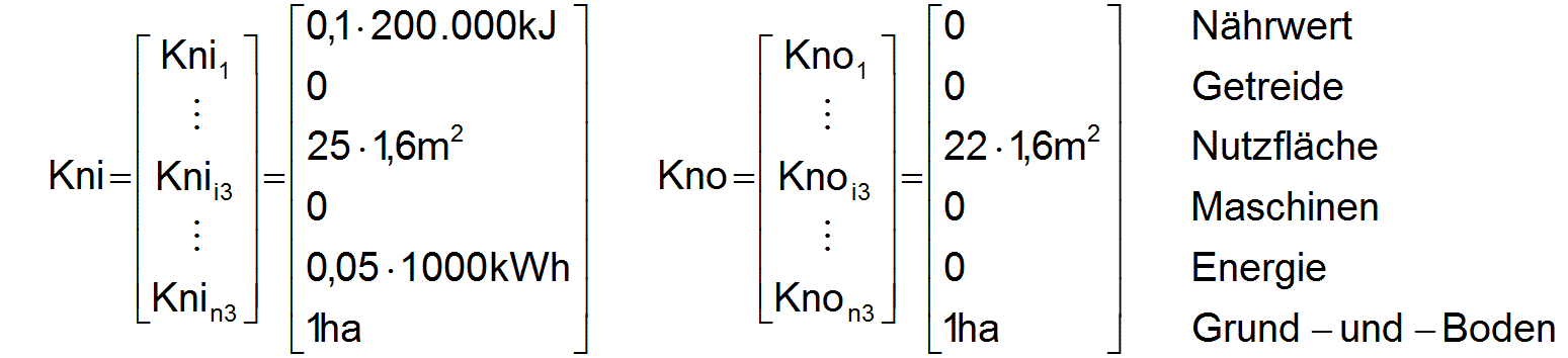 Hier sollten jetzt die Vektoren Kni und Kno erscheinen!