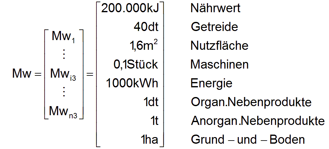 Hier sollte jetzt Vektor Mw erscheinen!